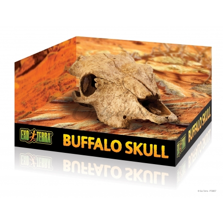 REFUGIO DECORATIVO BÚFFALO SKULL DE EXO TERRA