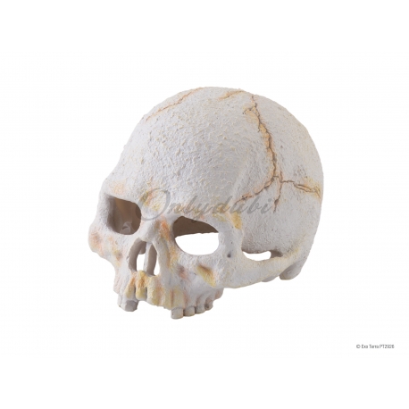 REFUGIO DECORATIVO PRIMATE SKULL DE EXO TERRA